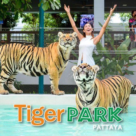 Tiger Park
